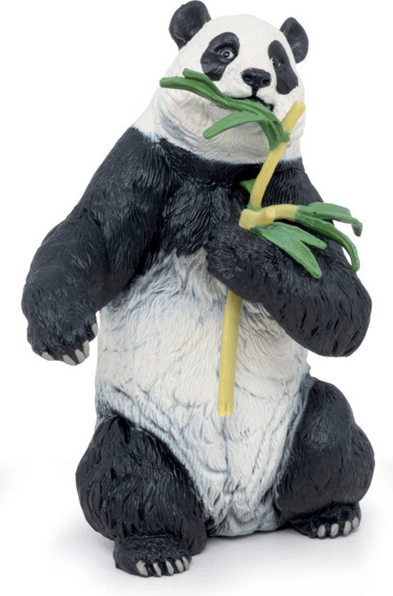 Panda met Bamboe