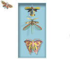 Djeco Knutselset - Insectenkast