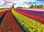 Eurographics Puzzel - Tulip Fields - 1000 stukjes