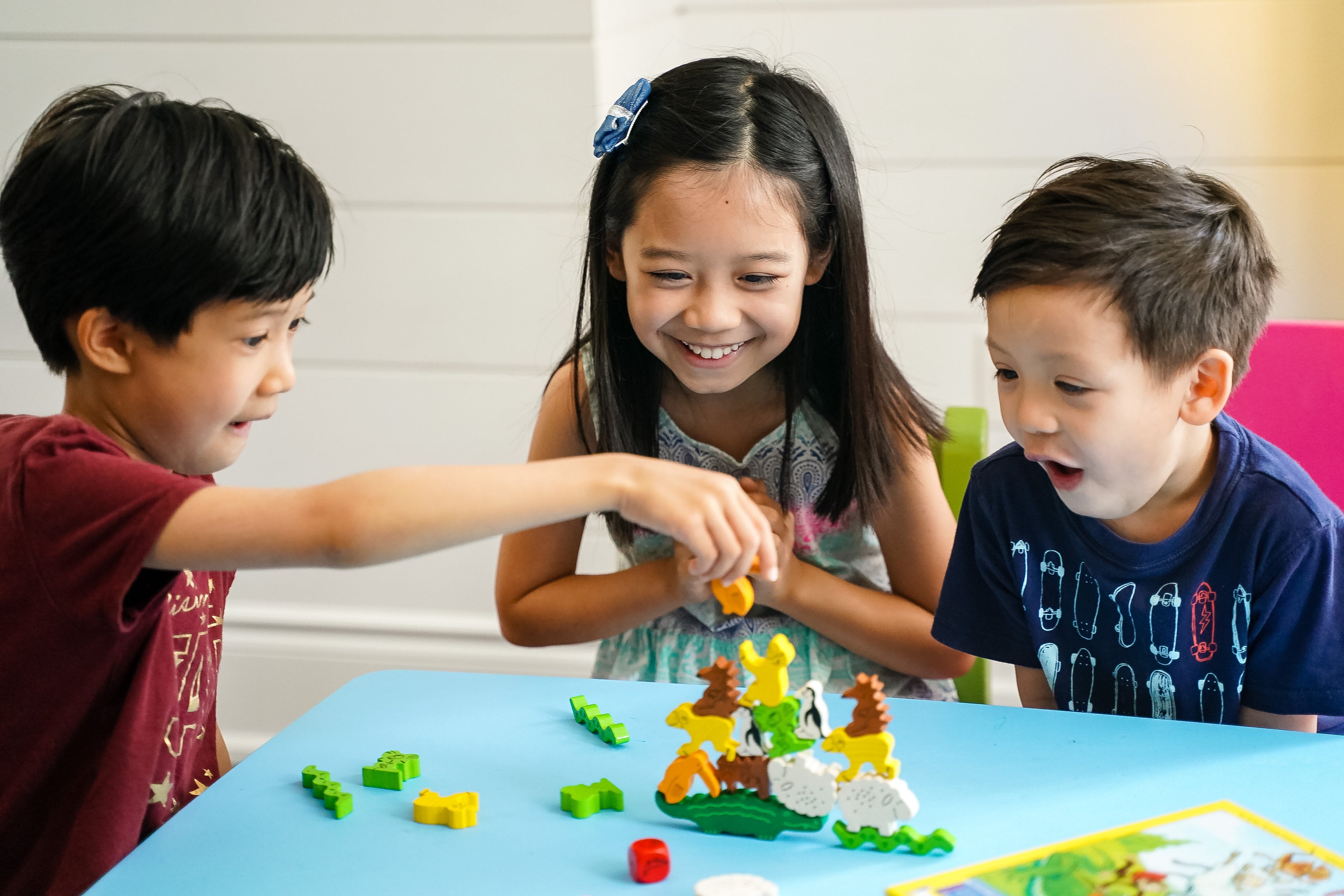 HABA Dier op Dier – Behendigheidsspel Bordspel