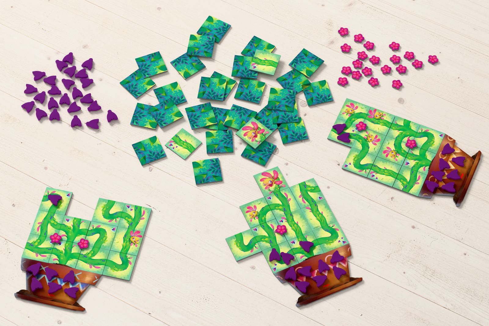 HABA Carni Flora – Strategisch Bordspel