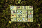 HABA Stuglandet – Tactisch Dobbelspel Bordspel