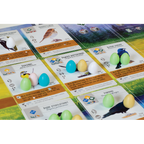 Wingspan -  Bordspel
