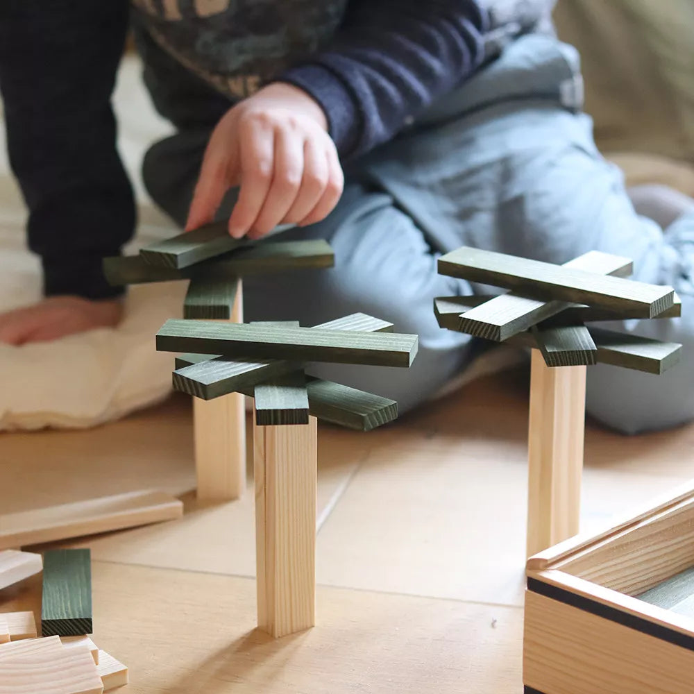 Kapla Kistje met 40 plankjes (groen)