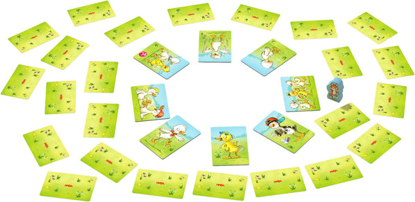 Ganzenpas - Snater vrolijk in het rond!