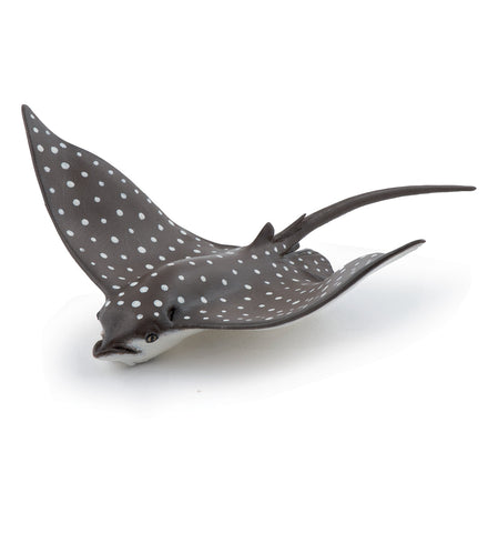 Spotted Eagle Ray (Gevlekte Adelaarsrog)