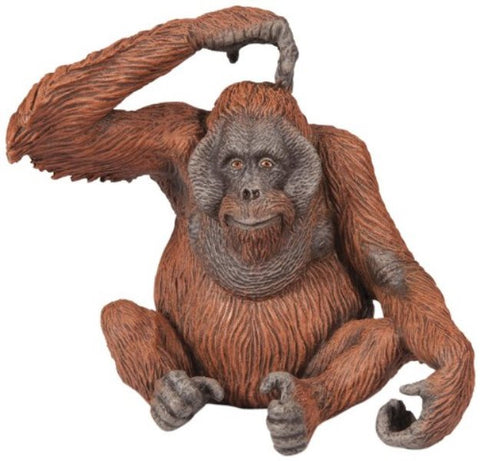 Papo De Oerang-oetang