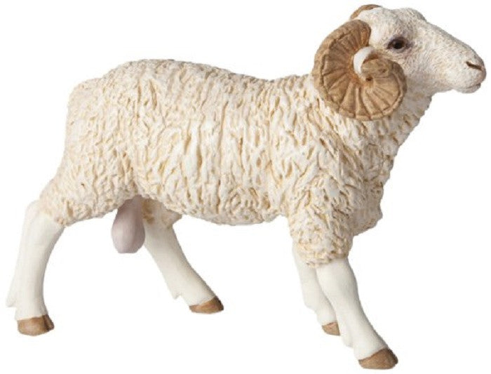 Papo Ram