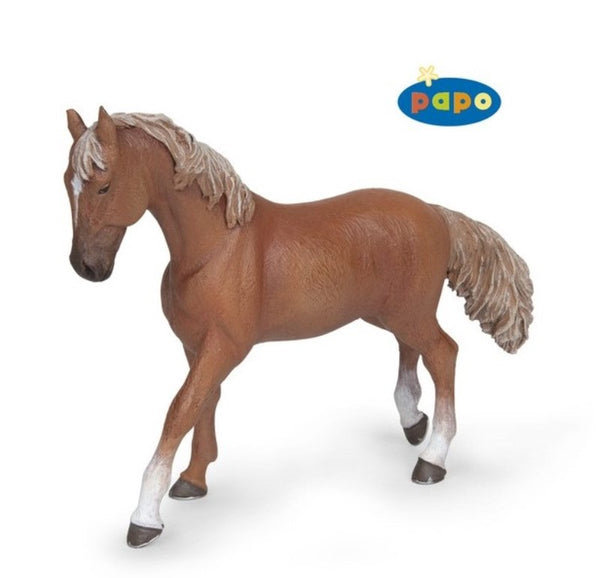 Alezan volbloed Engelse Merrie