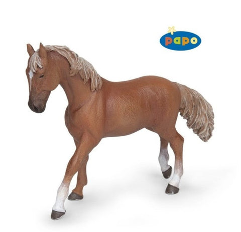 Alezan volbloed Engelse Merrie