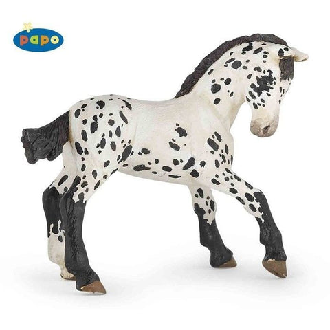 Papo zwart met wit Appaloosa veulen