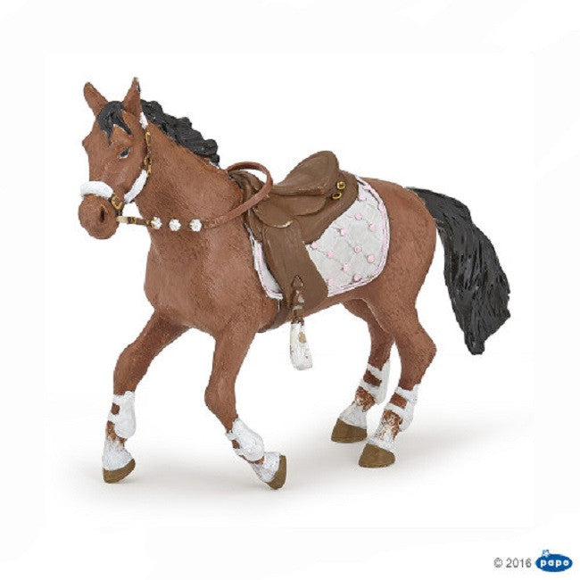 Horse Winter Riding Girl