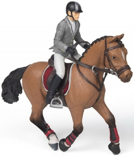 Competitiepaard met ruiter