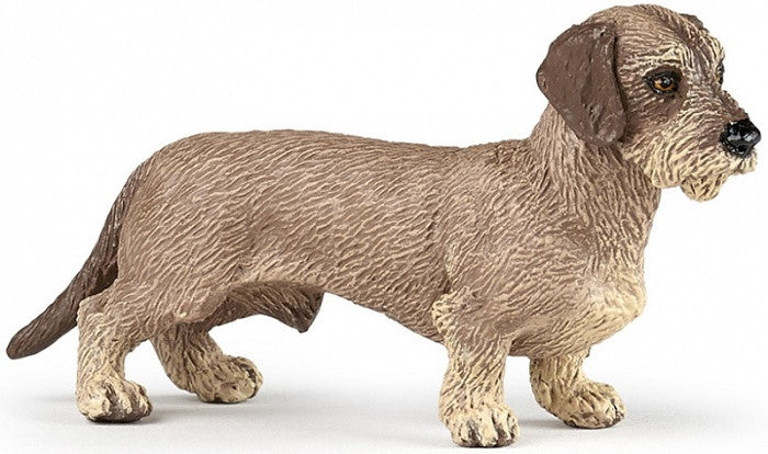 Papo Dachshund