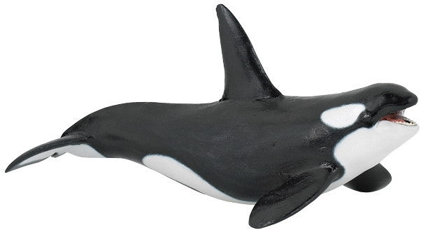 Papo De Orka