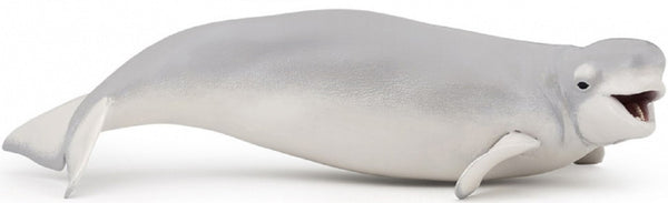 Beluga walvis