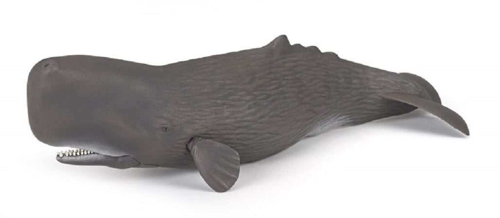 Papo Sperm Whale