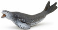 Leopard Seal
