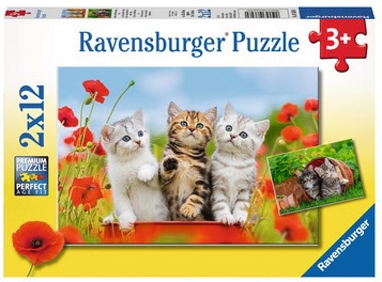 Ravensburger puzzel - Katjes op Ontdekkingsreis - 2 x 12 stukjes