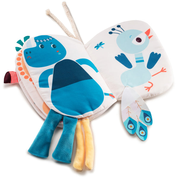 Wie verstopt zich achter Anaïs? Boekje