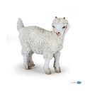 Young Angora Goat