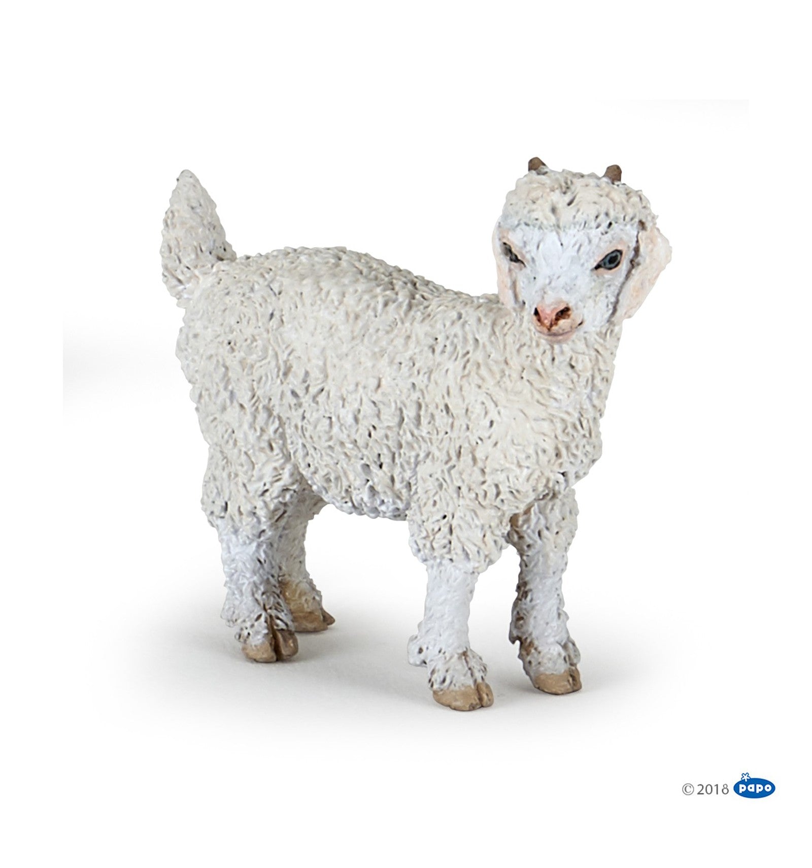 Young Angora Goat