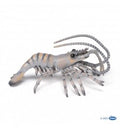 Shrimp