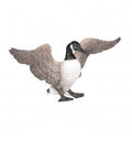 Canadese Gans