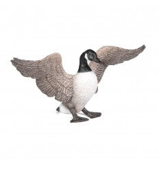 Canadese Gans