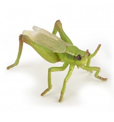 Sprinkhaan