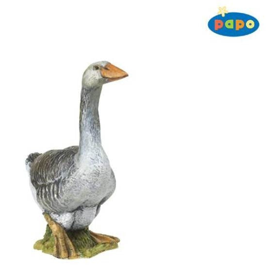 Papo Gans - Pericord gans