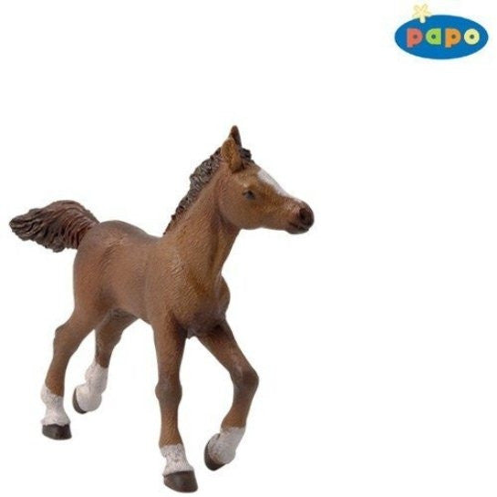 Papo Paard - Anglo-Arabisch veulen