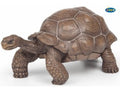 Papo Galapagos Schildpad
