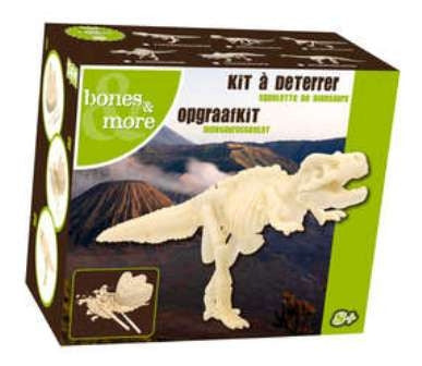 Bones & More - Mini Dinosaurusskelet om op te grav