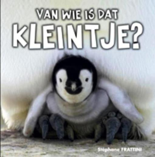 Boek - Van wie is dat kleintje?
