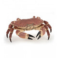 Krab - Papo