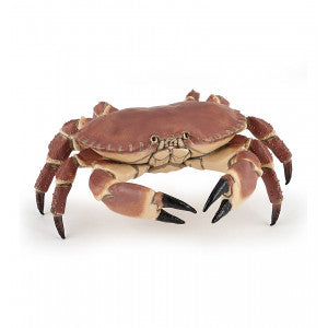Krab - Papo
