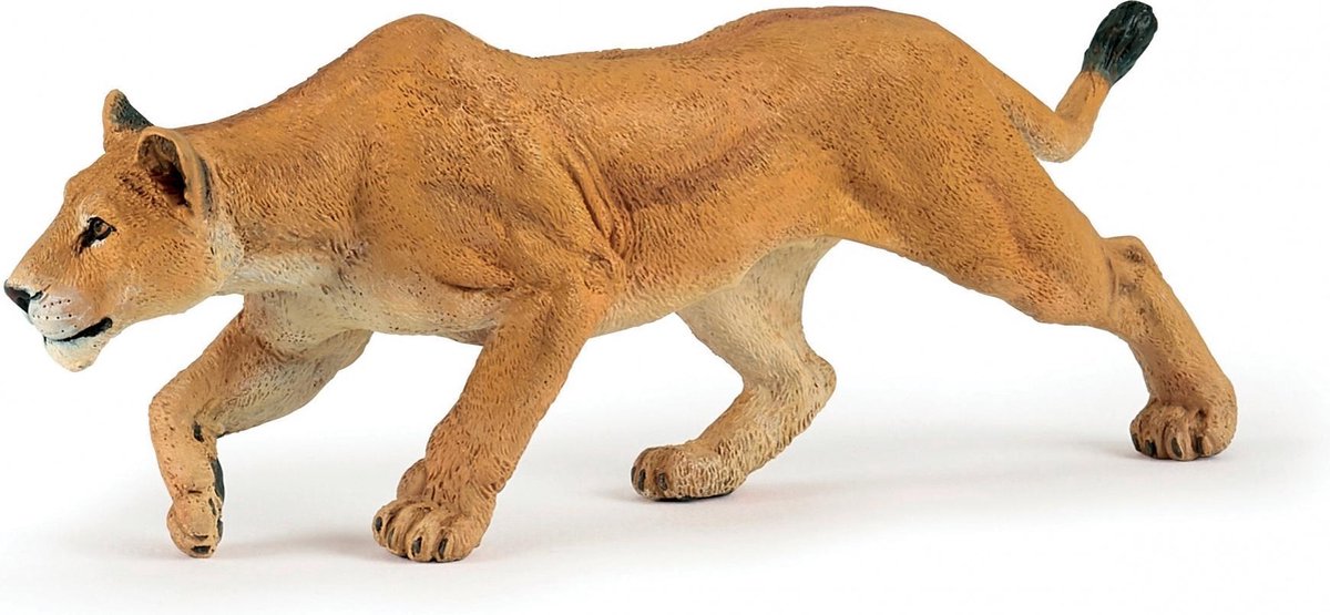 Papo chasing Lioness