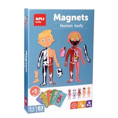 APLI - Menselijk Lichaam Magneetkaart 63-delig