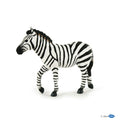Zebra mannetje