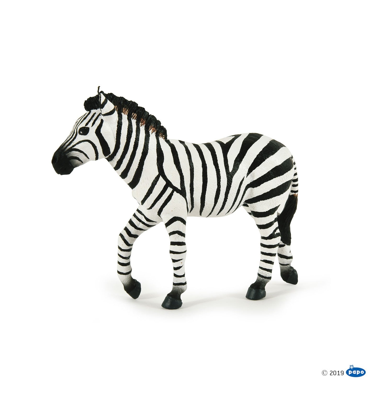 Zebra mannetje