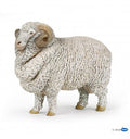 Merinoschaap