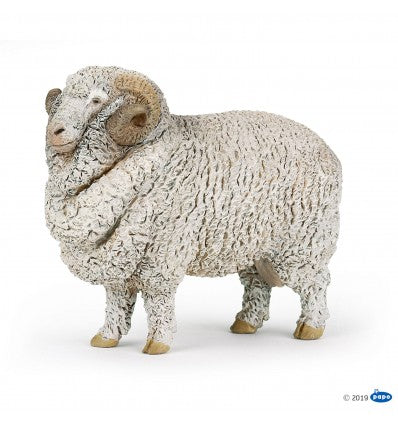 Merinoschaap