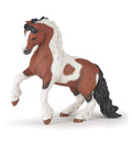 Irish Cob