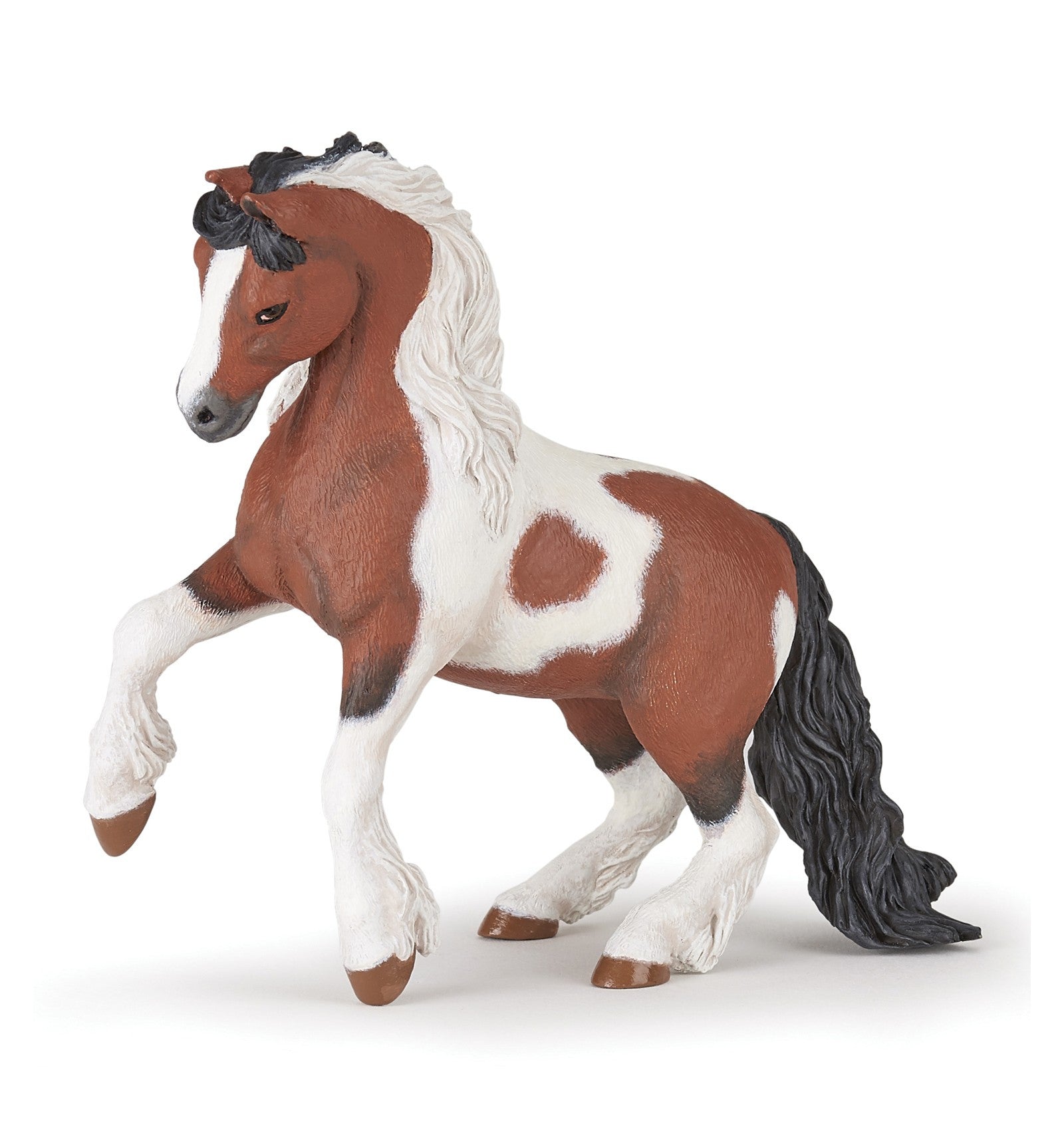 Irish Cob