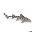 Luipaardhaai (Leopard Shark)