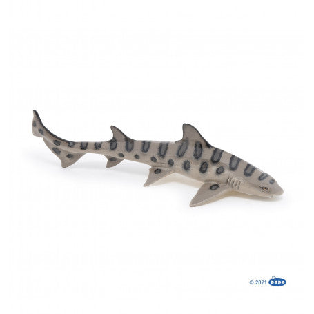 Luipaardhaai (Leopard Shark)