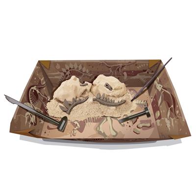 4M Kidzlabs: Graaf-je-Dinosauruus-op (Stegosaurus)