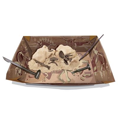 4M Kidzlabs Graaf je dinosaurus op (Triceratops)